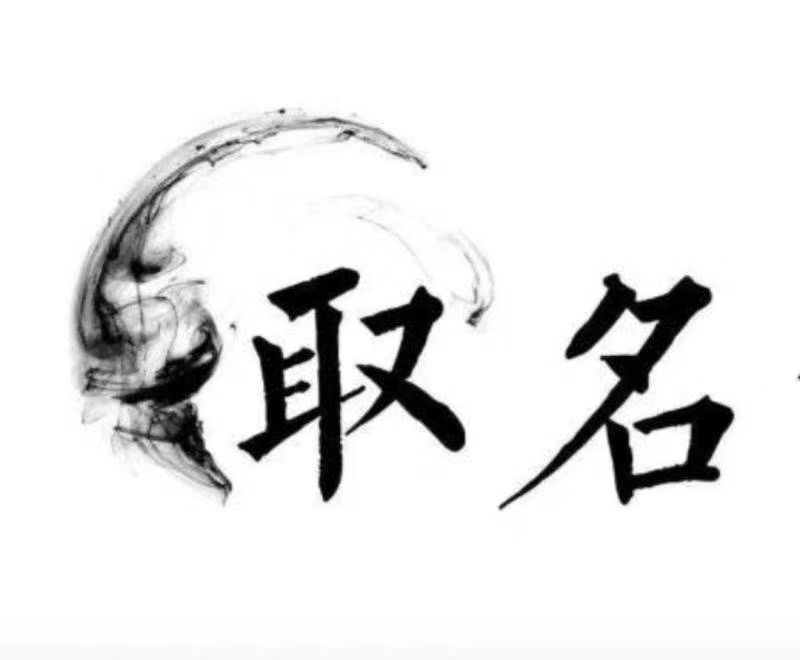  苏尼特右宝宝取名 大师一对一人工起名